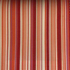 13543<br/><span style="font-weight:normal">Sunshine</span>