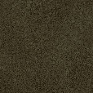 1866<br/><span style="font-weight:normal">Savanna</span>