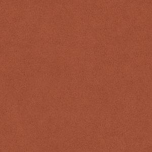 52062<br/><span style="font-weight:normal">Grizzly</span>