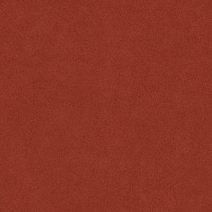 52064<br/><span style="font-weight:normal">Grizzly</span>