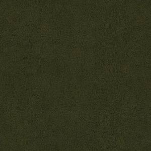 52070<br/><span style="font-weight:normal">Grizzly</span>
