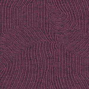 5241<br/><span style="font-weight:normal">ELEMENTS pro</span>