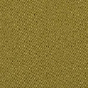 6153<br/><span style="font-weight:normal">Cortina, Hubertus*</span>