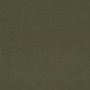 9233<br/><span style="font-weight:normal">Rodeo</span>