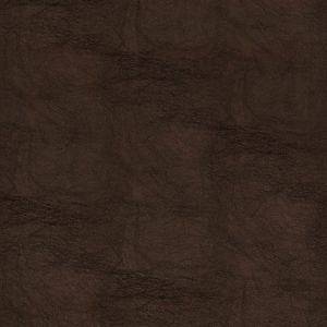 9242<br/><span style="font-weight:normal">Gaucho</span>