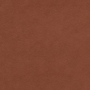 9278<br/><span style="font-weight:normal">Stepp</span>