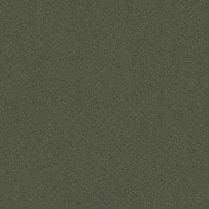 52079<br/><span style="font-weight:normal">Grizzly</span>