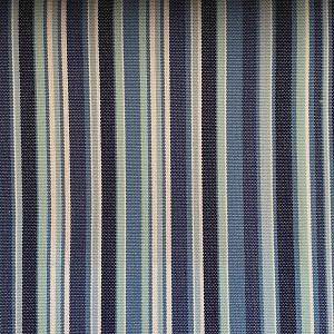 13542<br/><span style="font-weight:normal">Sunshine</span>