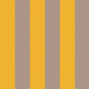 12029<br/><span style="font-weight:normal">Outdoor Stripe</span>