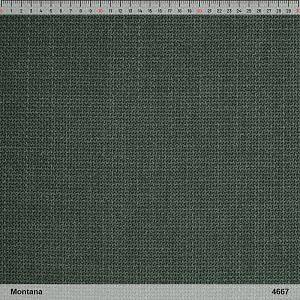 4667<br/><span style="font-weight:normal">Montana</span>