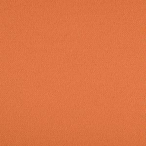 11300<br/><span style="font-weight:normal">(agora®)Outdoor International</span>
