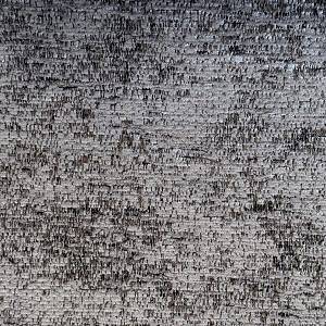 1089<br/><span style="font-weight:normal">Terra</span>