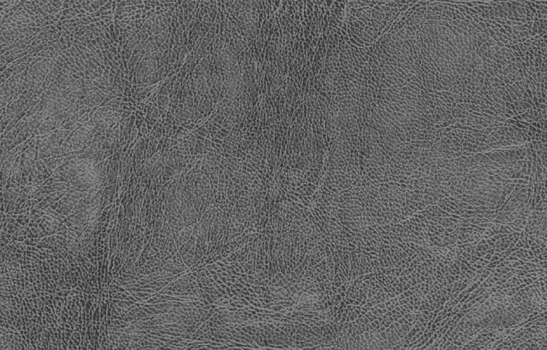 Read more about the article Gaucho