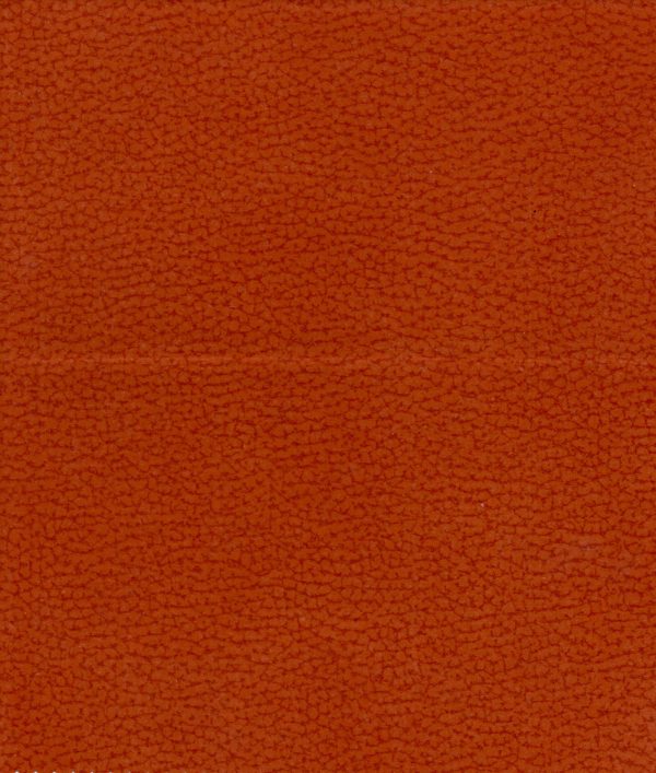 2923 – Trend Stoff